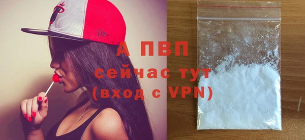 дмт Нягань