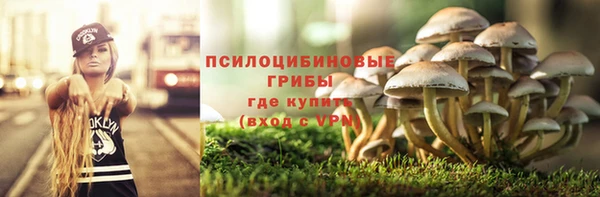 мдпв Няндома