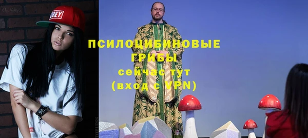 дмт Нягань