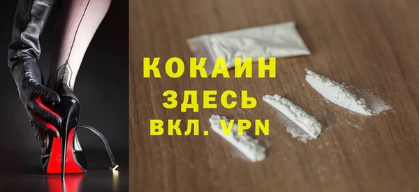 мдпв Няндома
