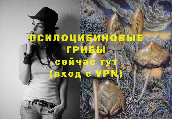 дмт Нягань