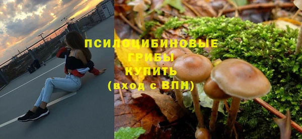 стаф Нязепетровск