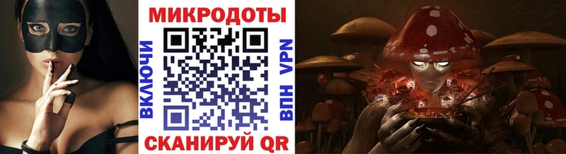 Купить закладки  Злынка  Галлюциногенные грибы MAGIC MUSHROOMS 