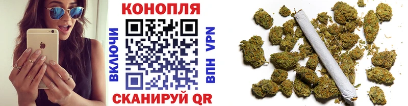 Бошки Шишки семена  Купить где  Злынка 